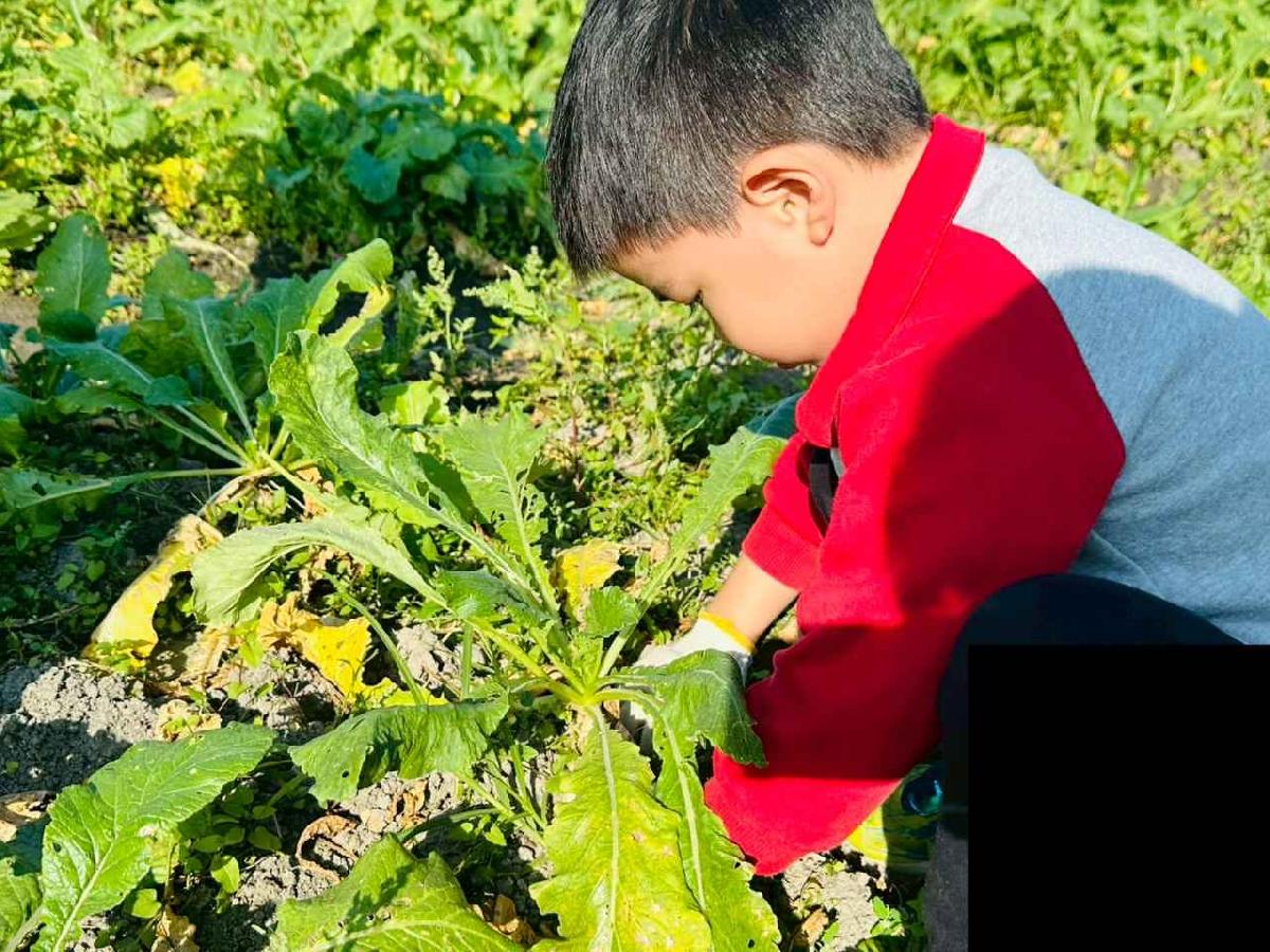 line_album_113 拔蘿蔔_260113_15