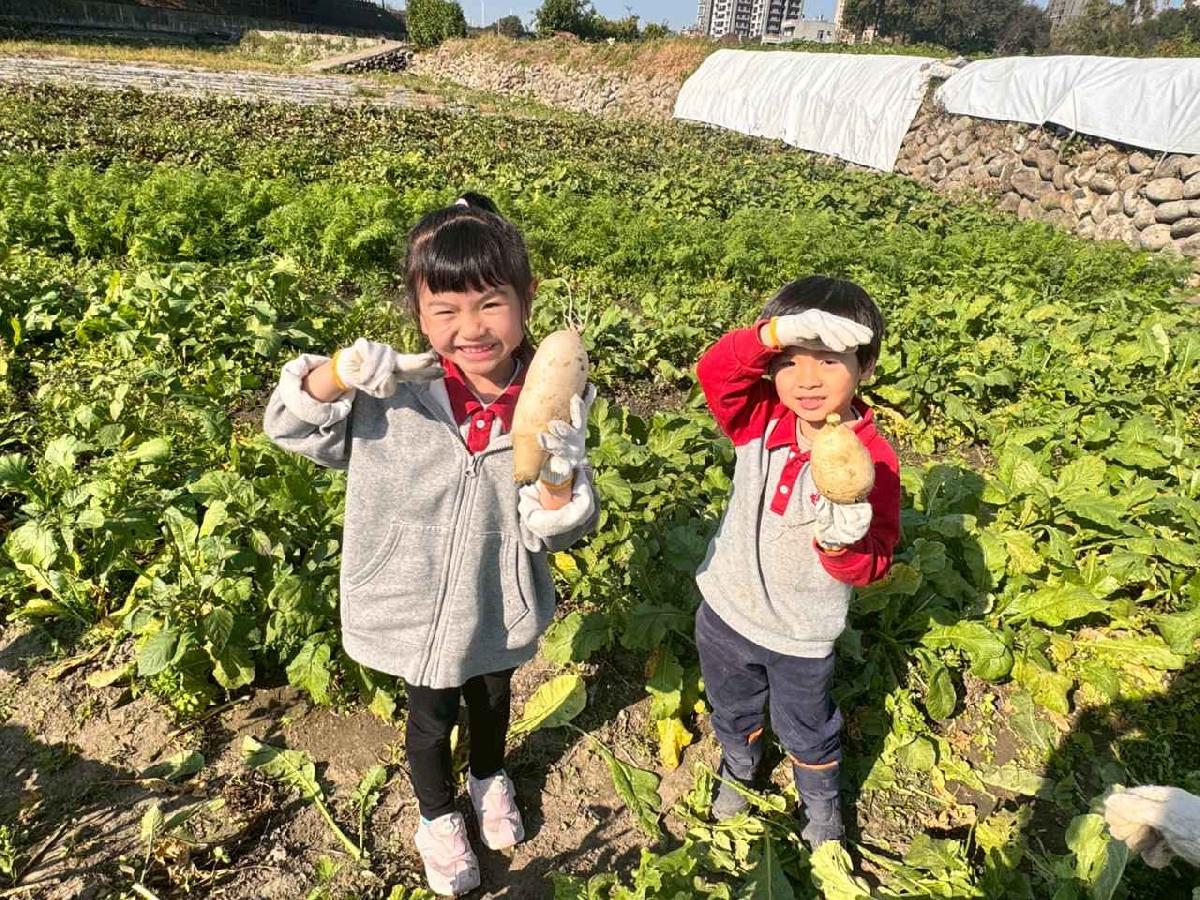 line_album_2026113 拔蘿蔔_260114_6