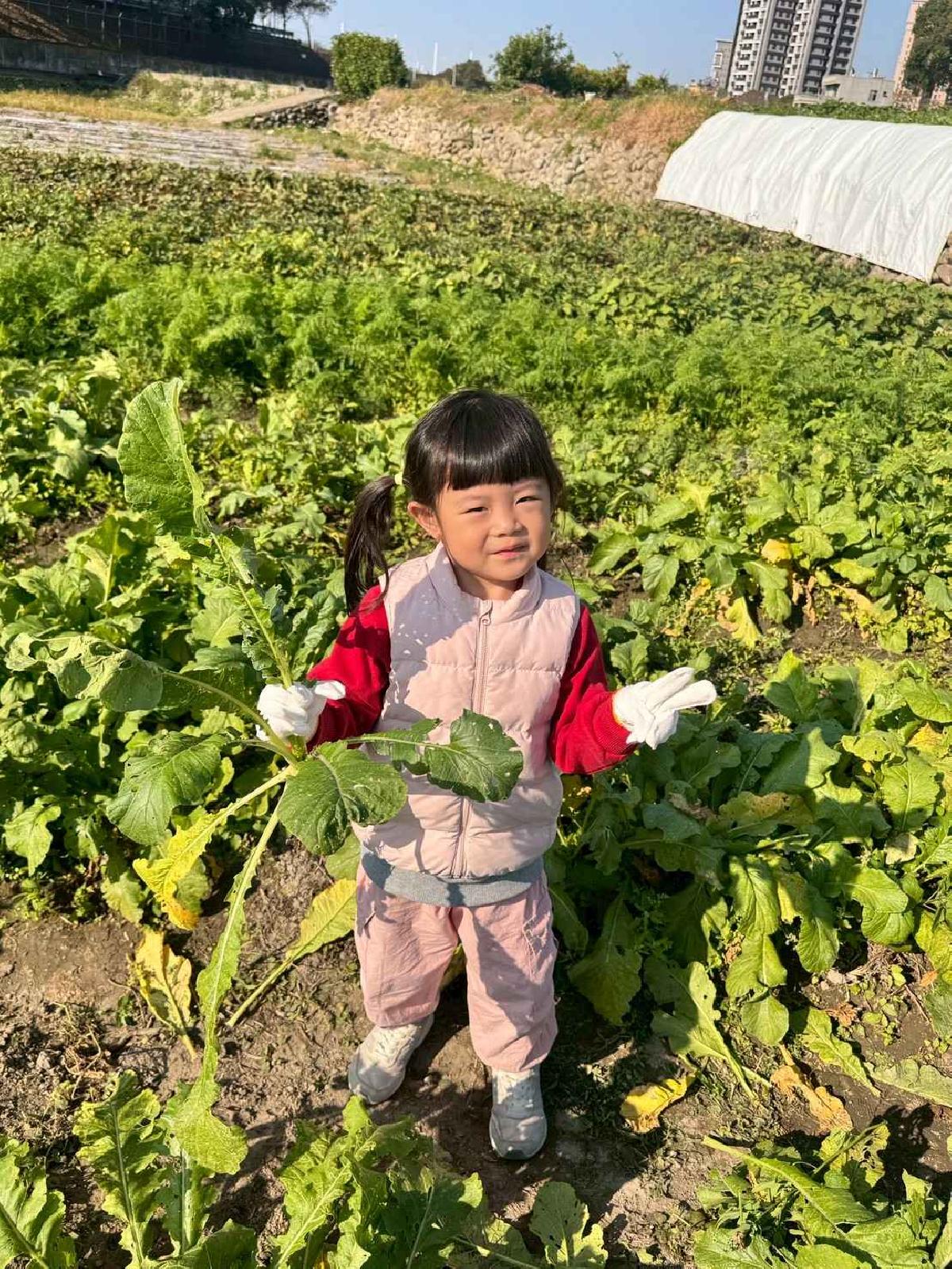 line_album_2026113 拔蘿蔔_260114_10