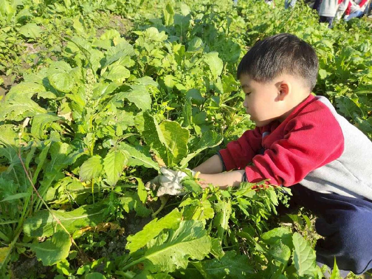 line_album_2026113_260120_33