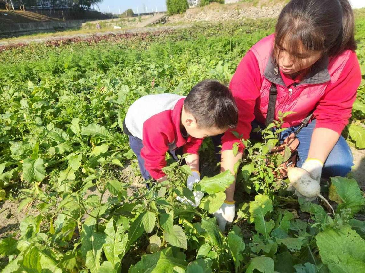 line_album_2026113_260120_53