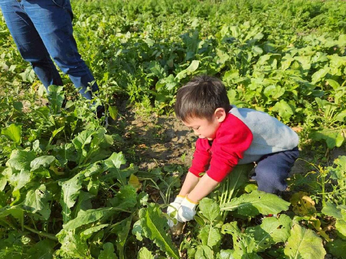 line_album_2026113_260120_62