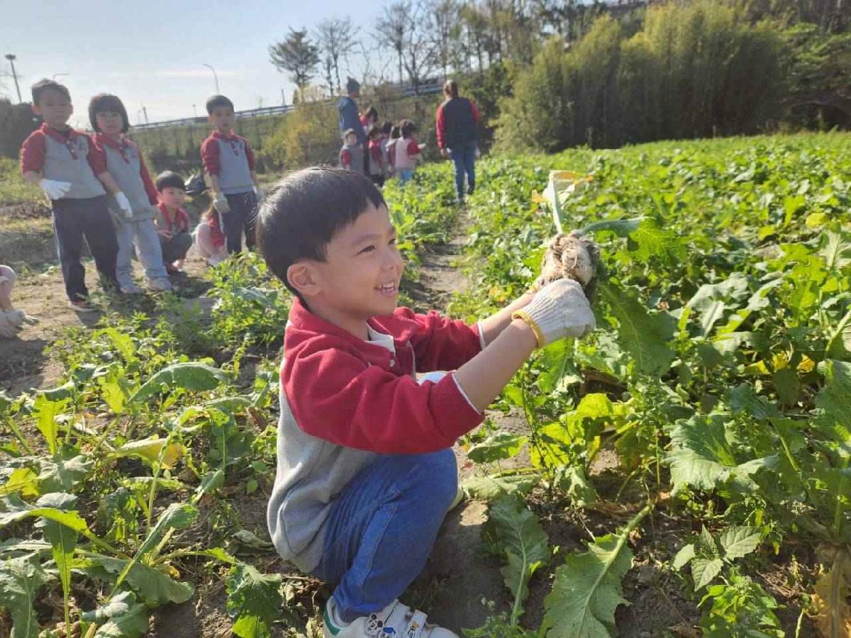 line_album_2026113_260120_71