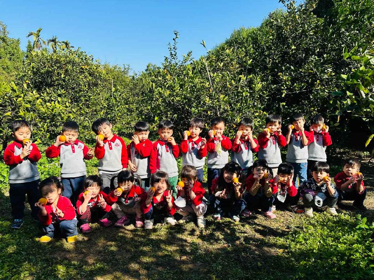 樹下的笑臉～採柳丁初體驗